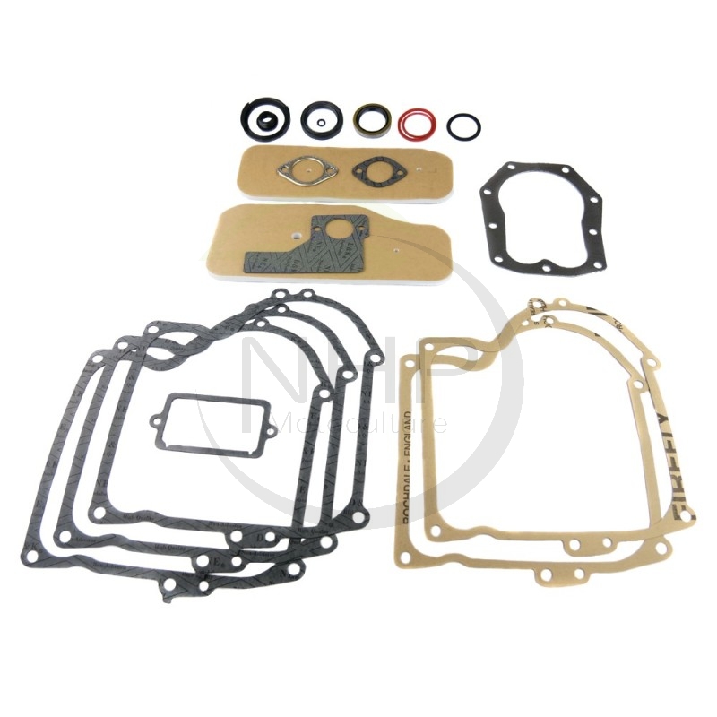 Jeu de joints moteur BRIGGS ET STRATTON 393411, 391807