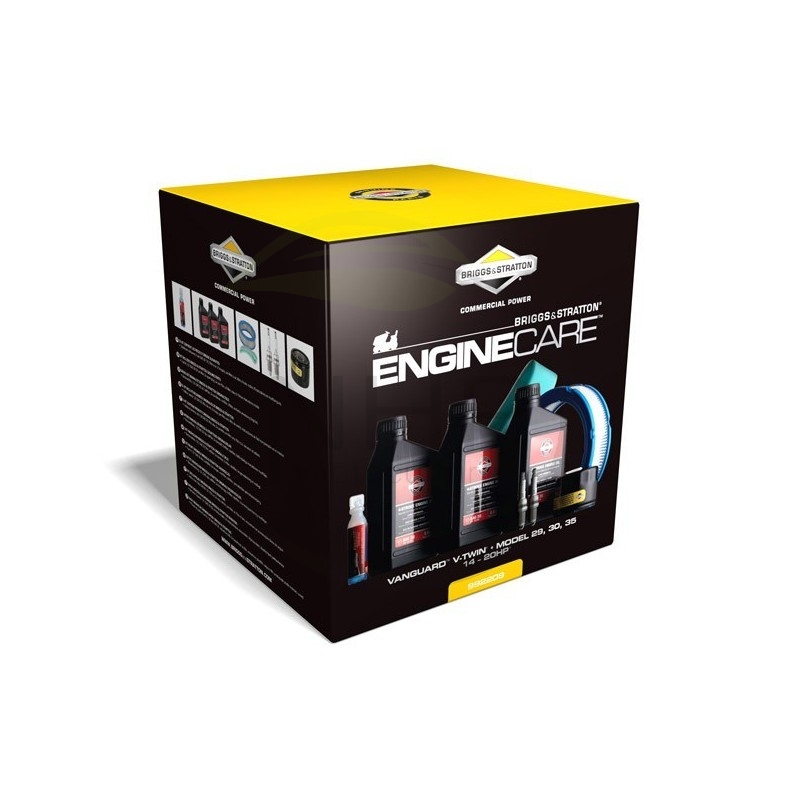 Kit entretien moteur Briggs et Stratton 992240, 992209 (huile, bougie, filtre...)