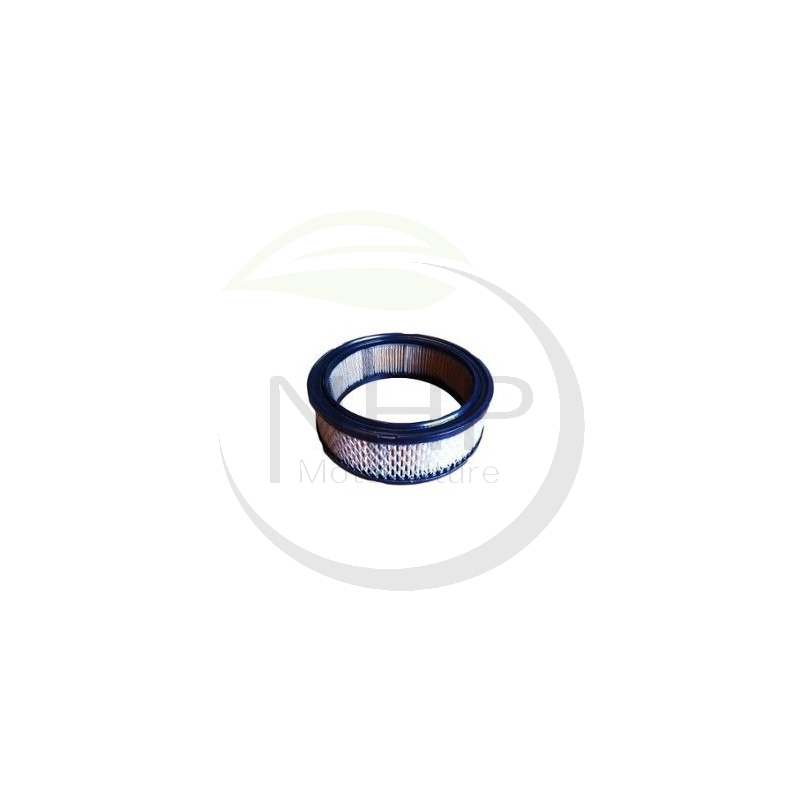 Filtre à air moteur Briggs et Stratton 394018S, 394018, 392642