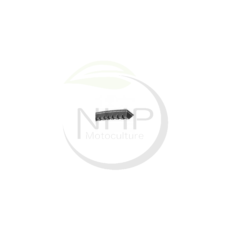 Courroie avancement  tracteur tondeuse Agrostroj  008142, 012434, CX43