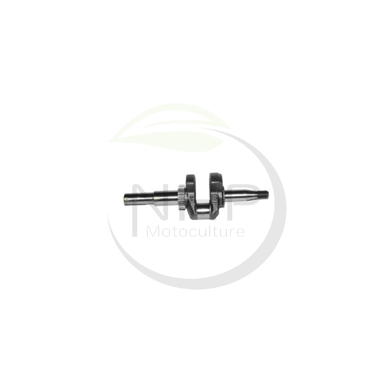 Vilebrequin moteur Briggs et Stratton 797019, 691452, 694059, 498566