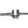 Vilebrequin moteur Briggs et Stratton 797019, 691452, 694059, 498566