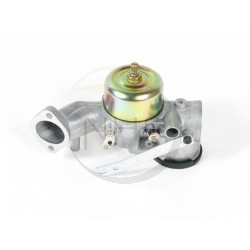 Carburateur Briggs et Stratton 491026, 391788