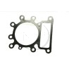 Joint de culasse Briggs et Stratton 273280, 273280, 272614
