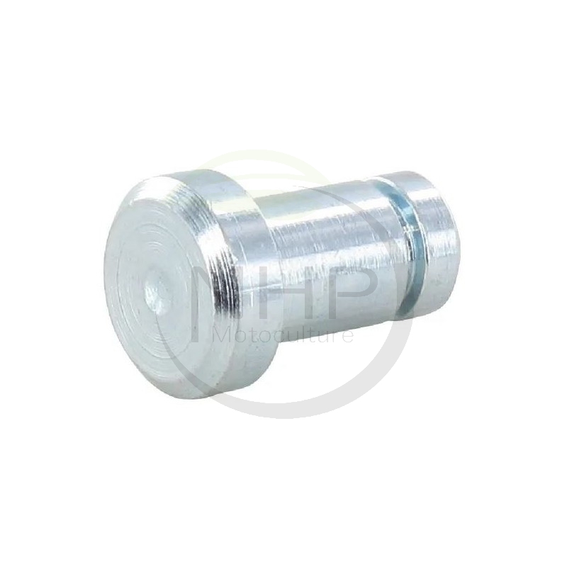 Pivot GGP, CASTELGARDEN, STIGA, ALPINA, MOUNTFIELD 1136-0240-01, 125510053/2