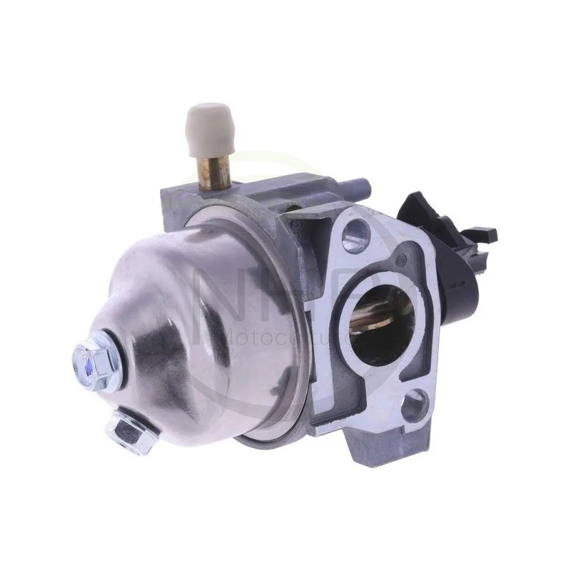 carburateur-complet-ggp-castelgarden-stiga-1185511210-1185511211