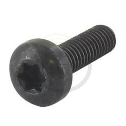 vis-tcb-torx-ggp-castelgarden-stiga-alpina-mountfield-1127278010