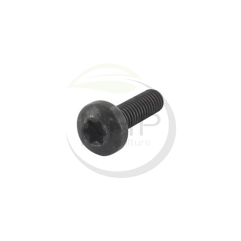 vis-tcb-torx-ggp-castelgarden-stiga-alpina-mountfield-1127278010