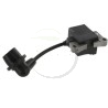 Bobine allumage électronique moteur 1E36F-2A, Béal MP33 