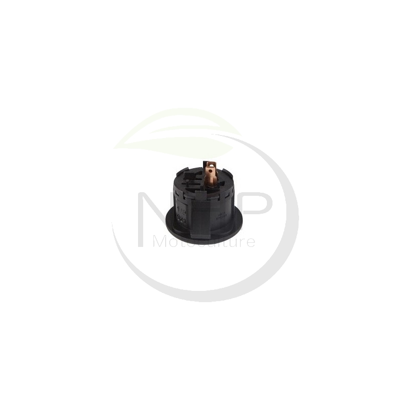 Contacteur à clé 2 bornes tondeuse MTD 725-1979, 7251979