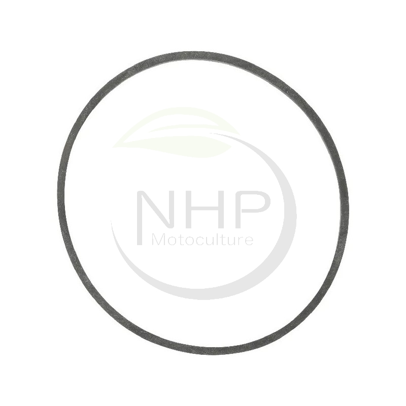 Joint de cuve carburateur Nikki, moteur BRIGGS et STRATTON 694920