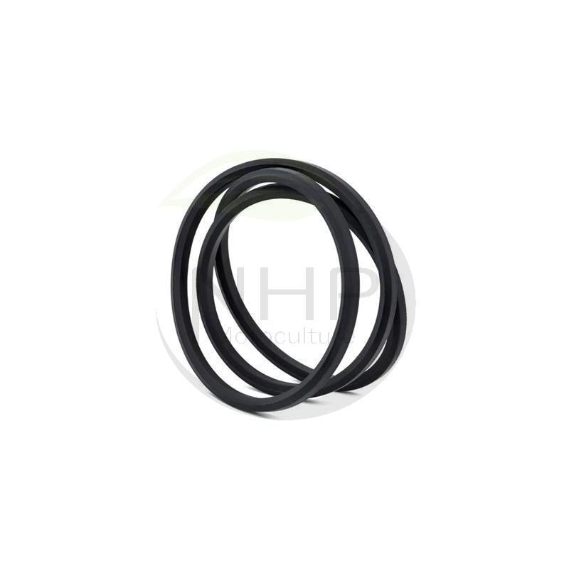 COURROIE HEXAGONALE BB116.5