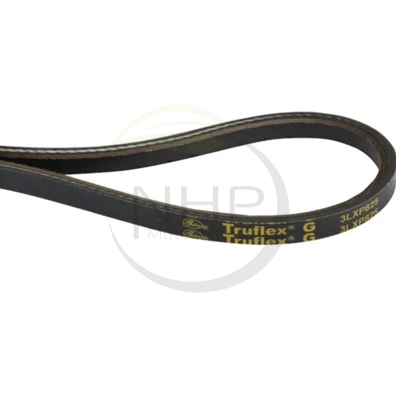 COURROIE - 118820755/0 - GGP - CASTELGARDEN - STIGA