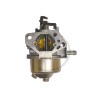 Carburateur GGP, CASTELGARDEN, STIGA, TRE0801 118550763/0, 118550763/1