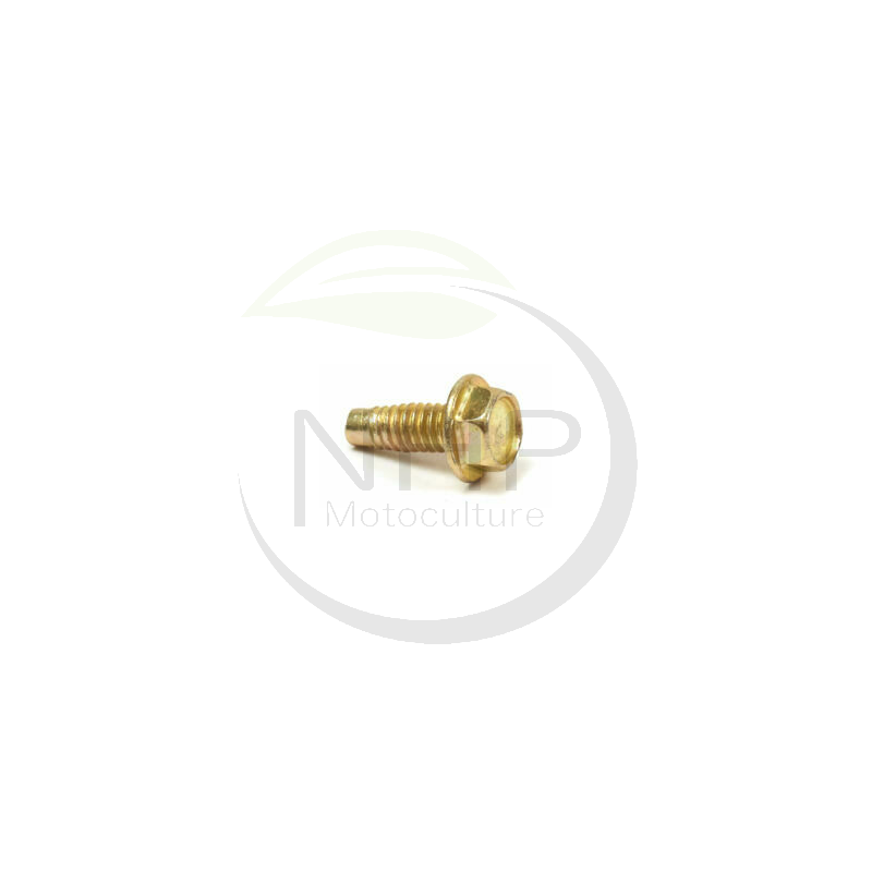 Vis, boulon BRIGGS ET STRATTON 691660, 93490, 94680, T93490, T94680, 555046