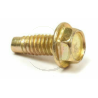 Vis, boulon BRIGGS ET STRATTON 691660, 93490, 94680, T93490, T94680, 555046
