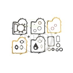 copy-of-kit-joint-moteur-briggs-et-stratton-495993