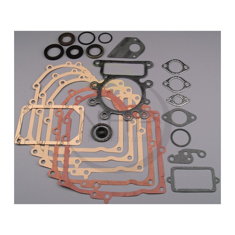 copy-of-kit-joint-moteur-briggs-et-stratton-495993