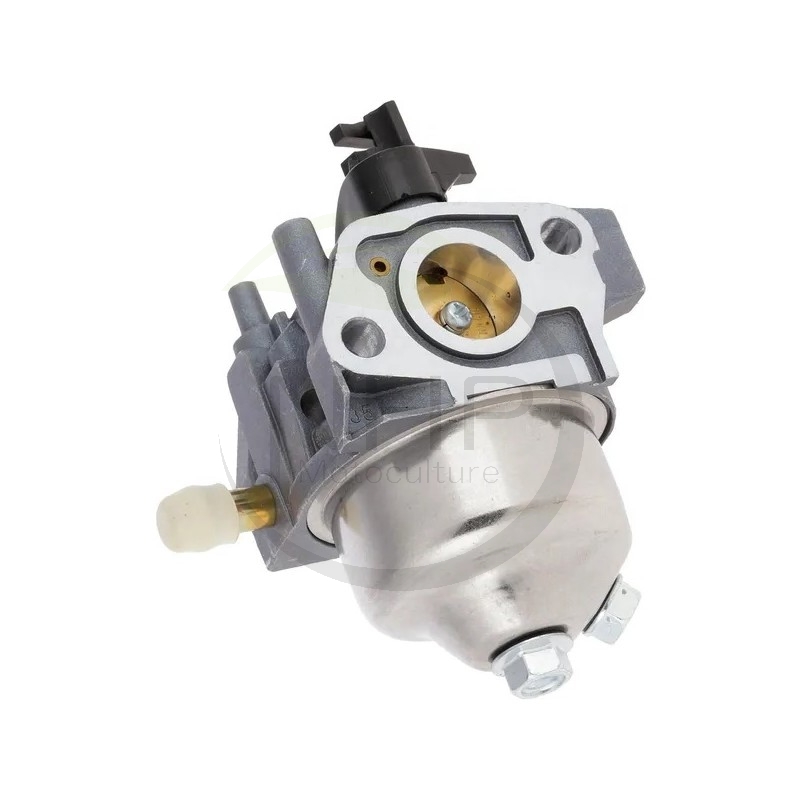 carburateur-wbe140-118550926-0-ggp-castelgarden-stiga