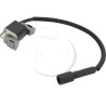 bobine-allumage-moteur-briggs-et-stratton-594626