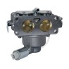 carburateur-moteur-briggs-et-stratton-796997-796258-792295-796227