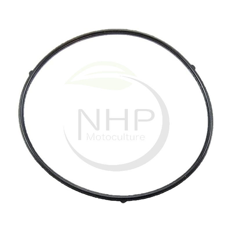 joint-de-cuve-carburateur-moteur-mtd-751-12304-75112304