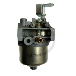 carburateur-moteur-daye-dg350-