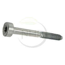 VIS CYLINDRIQUE STIHL IS-D5x45 - 90754784190 - 9075 478 4190 - 9075-478-4190