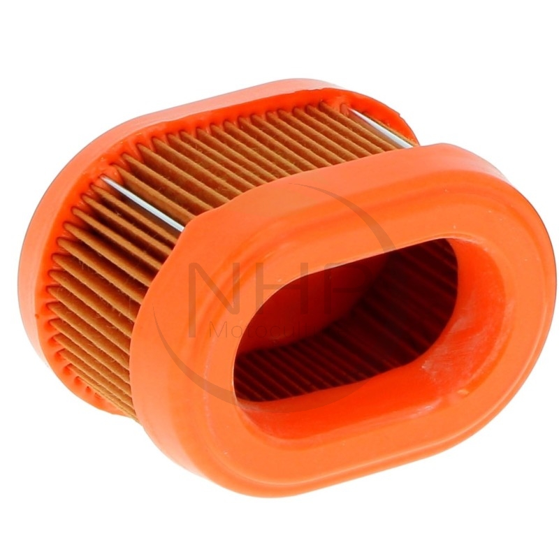 Filtre à air moteur Briggs et Stratton 790166, 698867