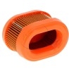 Filtre à air moteur Briggs et Stratton 790166, 698867