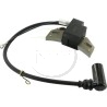 Bobine d'allumage moteur LOMBARDINI 1567212, 156 7212, 156.7212, 1567.097, 1567097, 15672120S