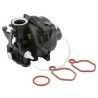 carburateur-moteur-briggs-et-stratton-591160