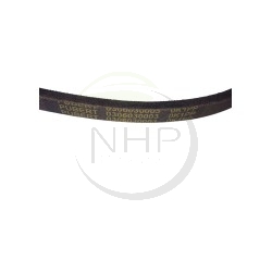 Courroie marche avant motobineuse PUBERT, STAUB, OLEO MAC 0306030003, 13598A