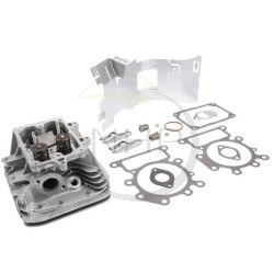 culasse-complete-briggs-et-stratton-796026-698148-793991-792360-792360-796025-698404-794223-792770-697544