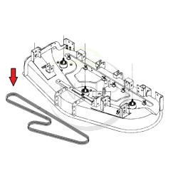 Courroie de coupe ISEKI SSM72, SF330, 8655 202 013 00, 8655-202-013-00, 865520201300, VB146