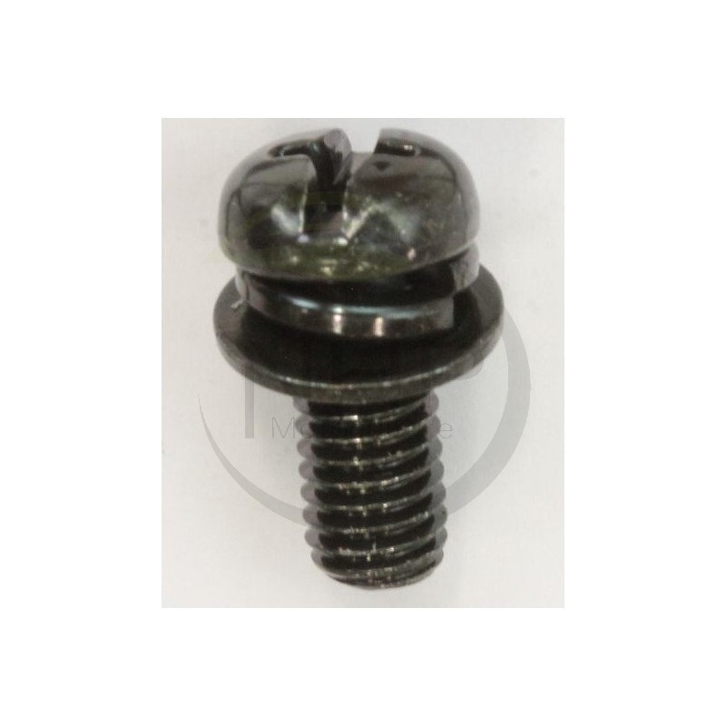 Vis ECHO, SHINDAIWA référence 90023805012, 52142-00110, 900238-05012