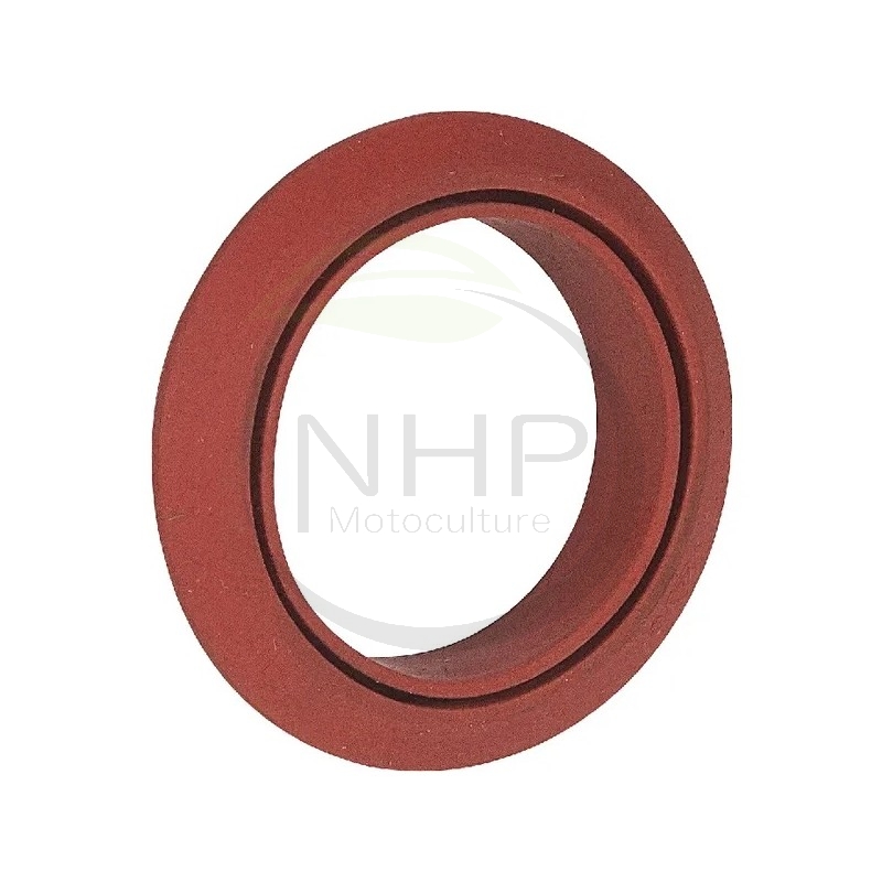 Joint Spi moteur LOMBARDINI 4740-017, 4740017