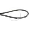 Courroie tracteur tondeuse GGP, CASTELGARDEN, STIGA, 135061509/0, 1350615090
