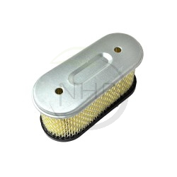 Filtre à air BRIGGS ET STRATTON 491021