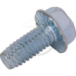 Vis autotaraudeuse AGRIFAB - 5/16-18 x 3/4