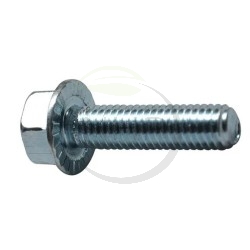 Vis à embase crantée PUBERT, STAUB, OLEO MAC 0300010846 - HUSQVARNA 578042001