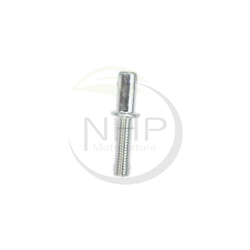 Vis ECHO, SHINDAIWA référence 10091535430, 100915-35430, 10092635430, 100926-35430