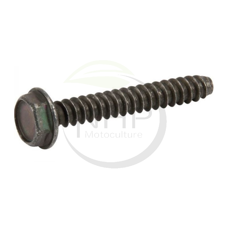 screw-112735115-0-112735115-1-ggp-castelgarden-stiga
