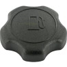 Bouchon d'essence moteur BRIGGS ET STRATTON 694261, 792647, 795027