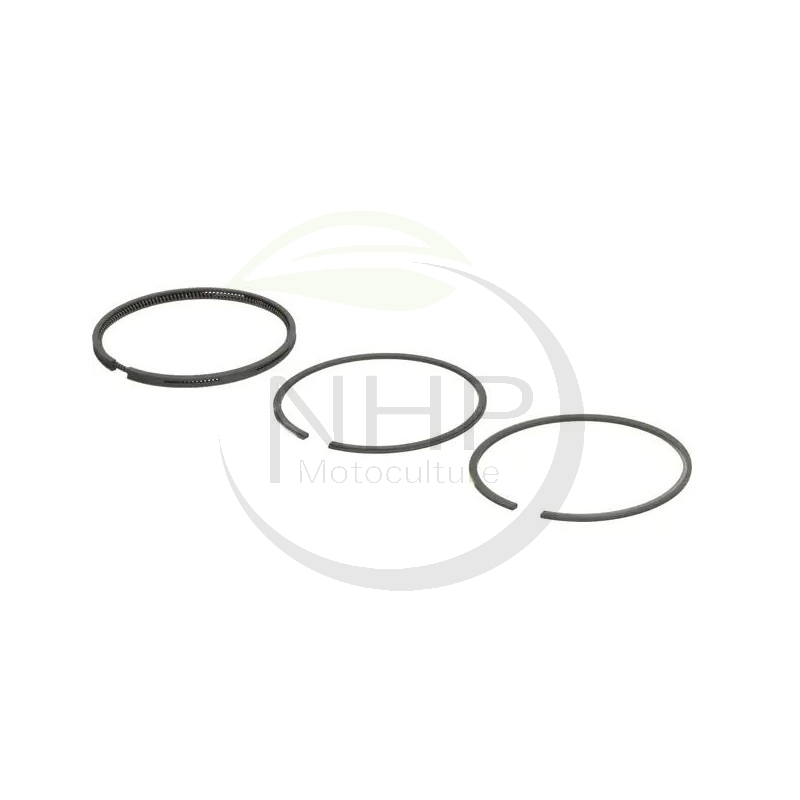 Kit segment BRIGGS et STRATTON 493261