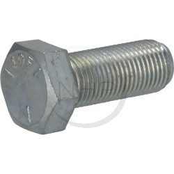 Vis BRIGGS ET STRATTON, SNAPPER, MURRAY, SIMPLICITY 7090491, 1/2F X1-1/4