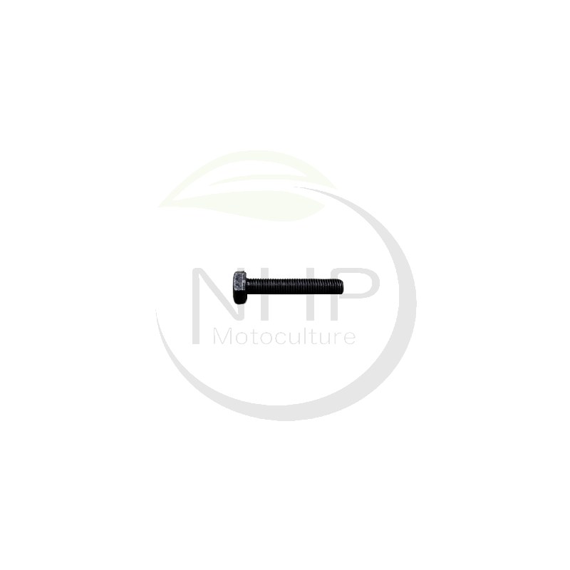 t300-li-20-mou-blade-bolt-m10x125x50-ggp-castelgarden-stiga-alpina-mountfield-118811466-0