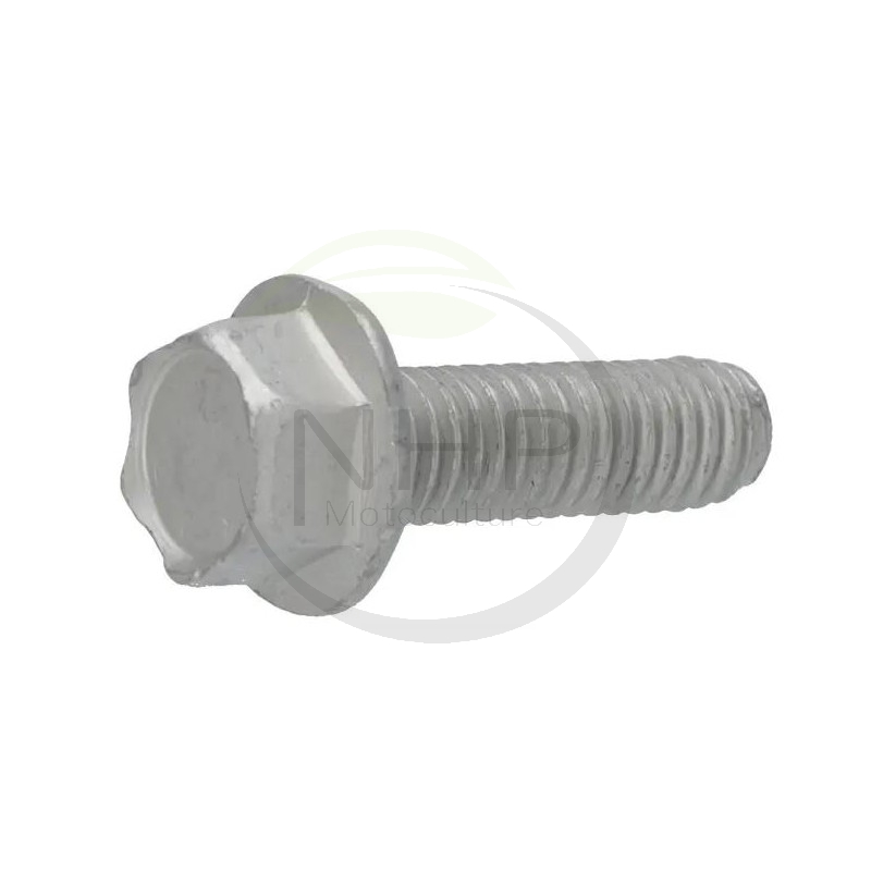 vis-fix-moteur-tre07-12735108-0-112735108-1-ggp-castelgarden-stiga