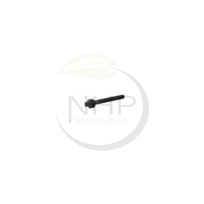 vis-tendeur-chaine-123878092-0-ggp-castelgarden-stiga