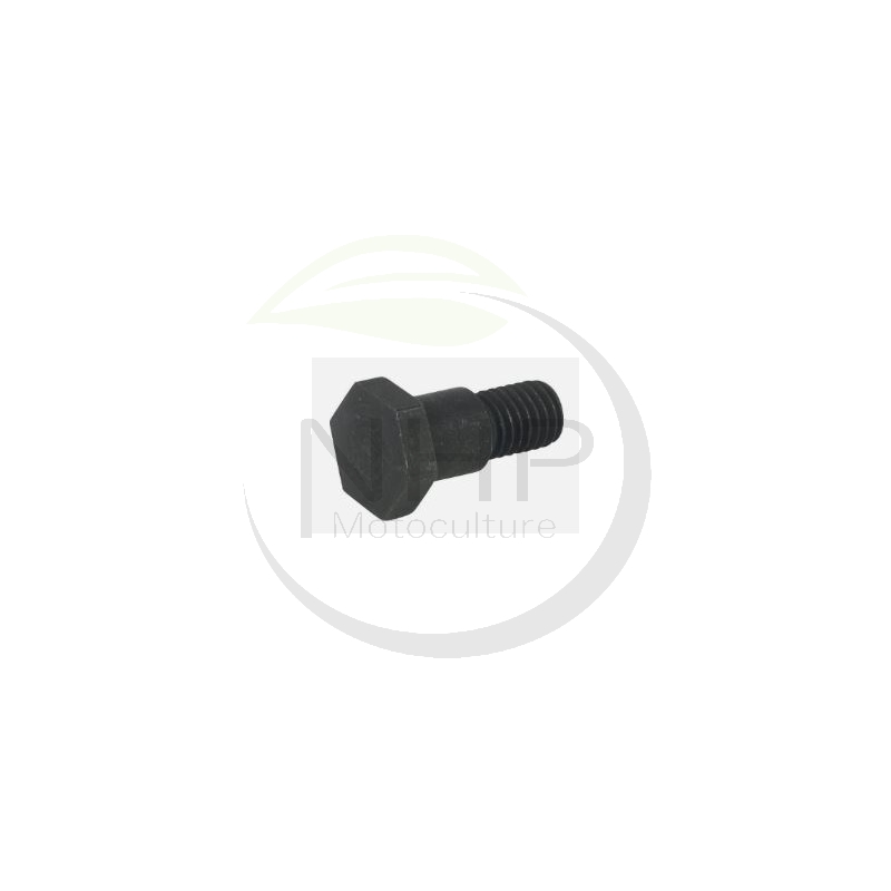 BOULON MASSELOTTE EMBRAYAGE TANAKA 3570420120 - 357-04201-20 - HITACHI 6689632